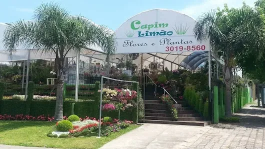 Fachada da Floricultura Capim Limão na R. Alberto Folloni, no bairro Ahú